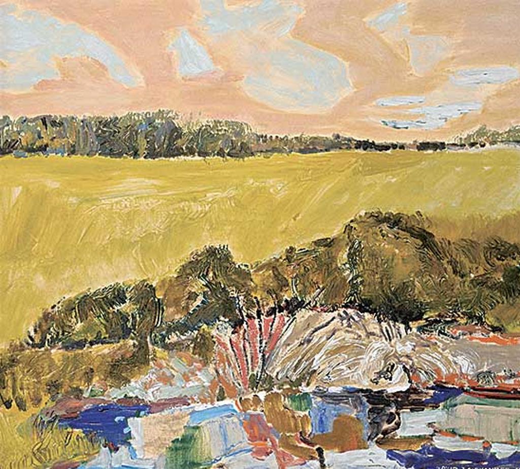 David T. Alexander (1947) - Blimps and Bushes