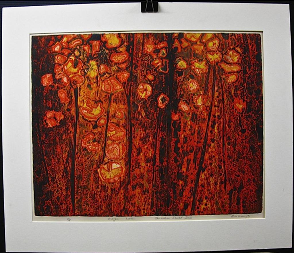 Edward - Orange Lichen - Canadian Sheild Series