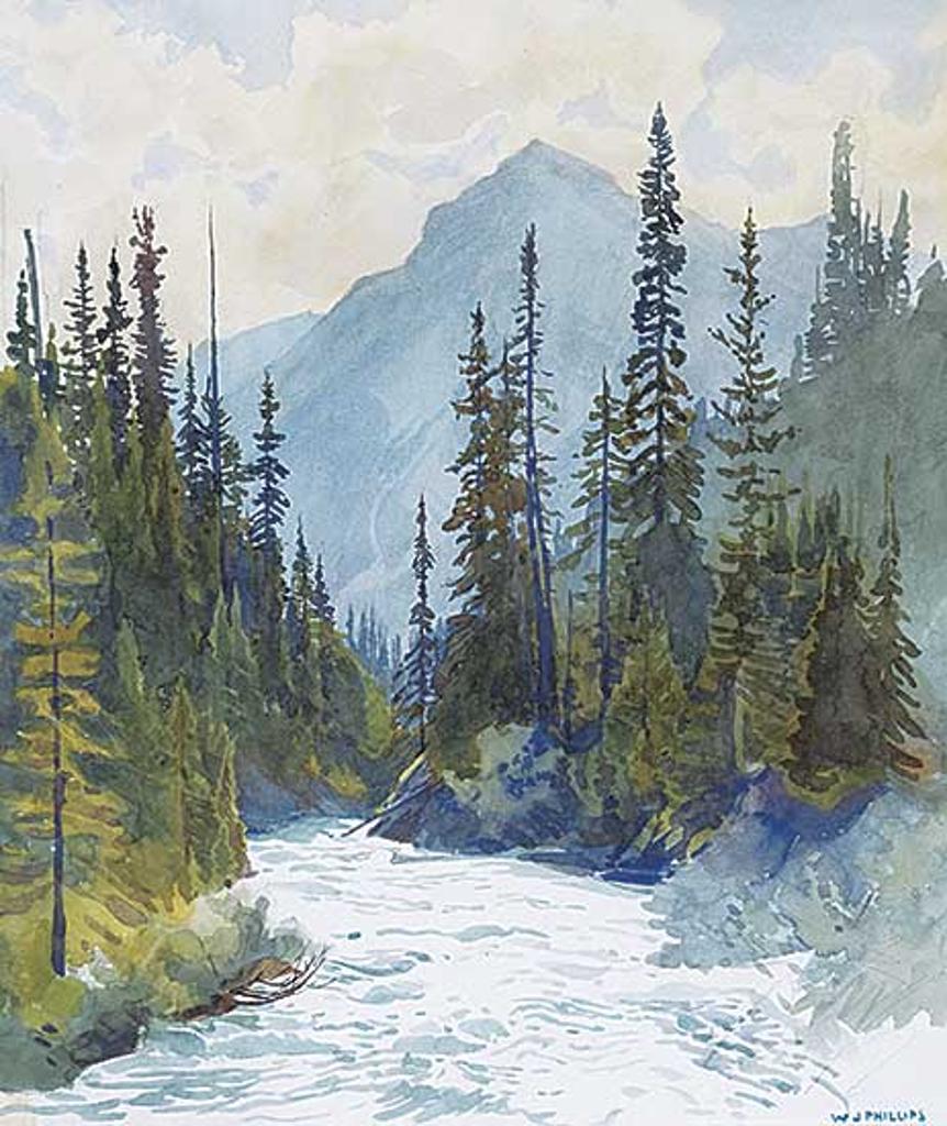 Walter Joseph (W.J.) Phillips (1884-1963) - Mount Field