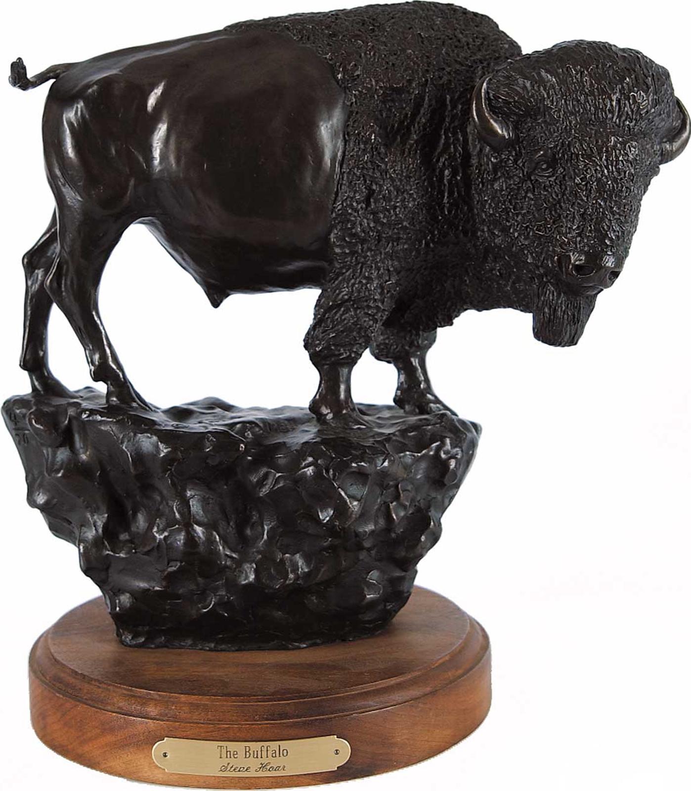 Steve Hoar - The Buffalo #4/20