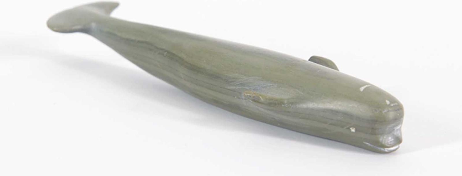 Aola - Untitled - Whale