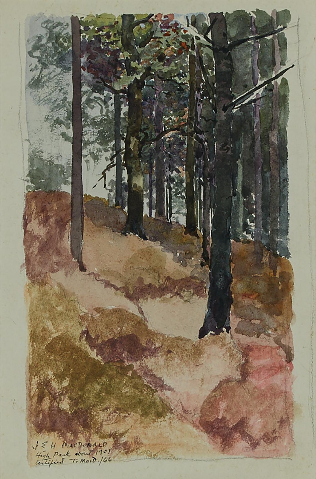 James Edward Hervey (J.E.H.) MacDonald (1873-1932) - HIGH PARK, C. 1901