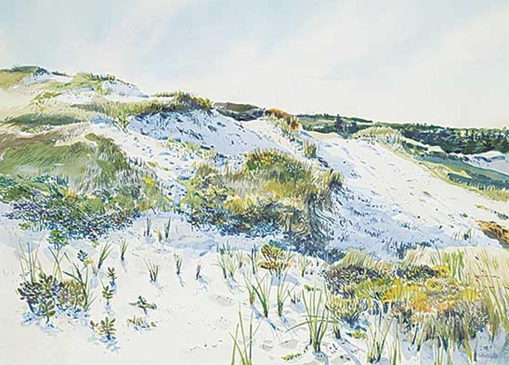 Roger Savage (1941) - P.E.I. Sands