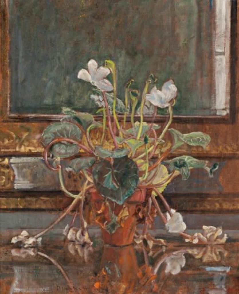 Joseph (Joe) Francis Plaskett (1918-2014) - Still Life